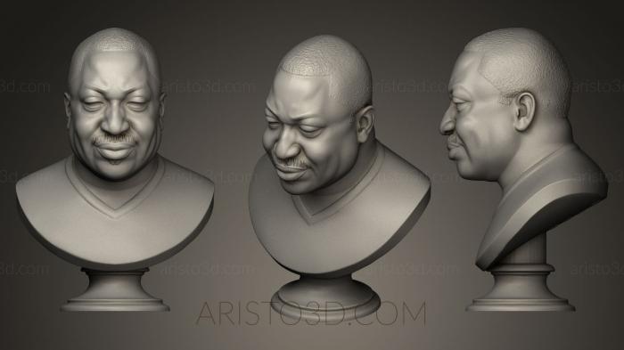 Busts and bas-reliefs of famous people (BUSTC_0185) 3D model for CNC machine